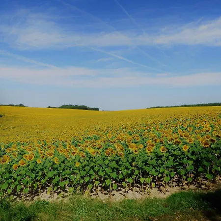 La Rose De Charmé Farmhouse Bed & Breakfast *